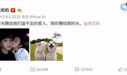 娱乐吃瓜君张翰,娱乐吃瓜界的风云人物