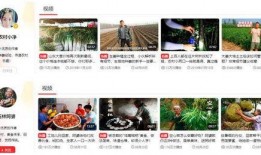 三农爆料的视频,揭秘农村发展新动态